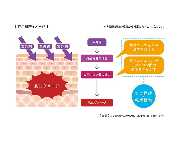 画像：作用機序イメージ