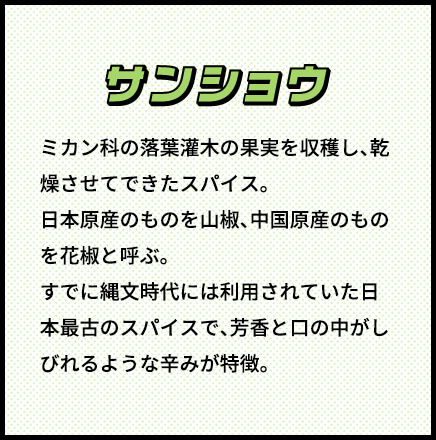 サンショウ ミカン科の落葉灌木の果実を収穫し、乾燥させてできたスパイス。日本原産のものを山椒、中国原産のものを花椒と呼ぶ。すでに縄文時代には利用されていた日本最古のスパイスで、芳香と口の中がしびれるような辛みが特徴。