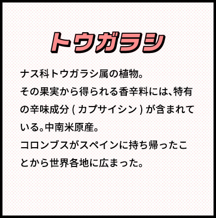 トウガラシ ナス科トウガラシ属の植物。その果実から得られる香辛料には、特有の辛味成分(カプサイシン)が含まれている。中南米原産。コロンブスがスペインに持ち帰ったことから世界各地に広まった。